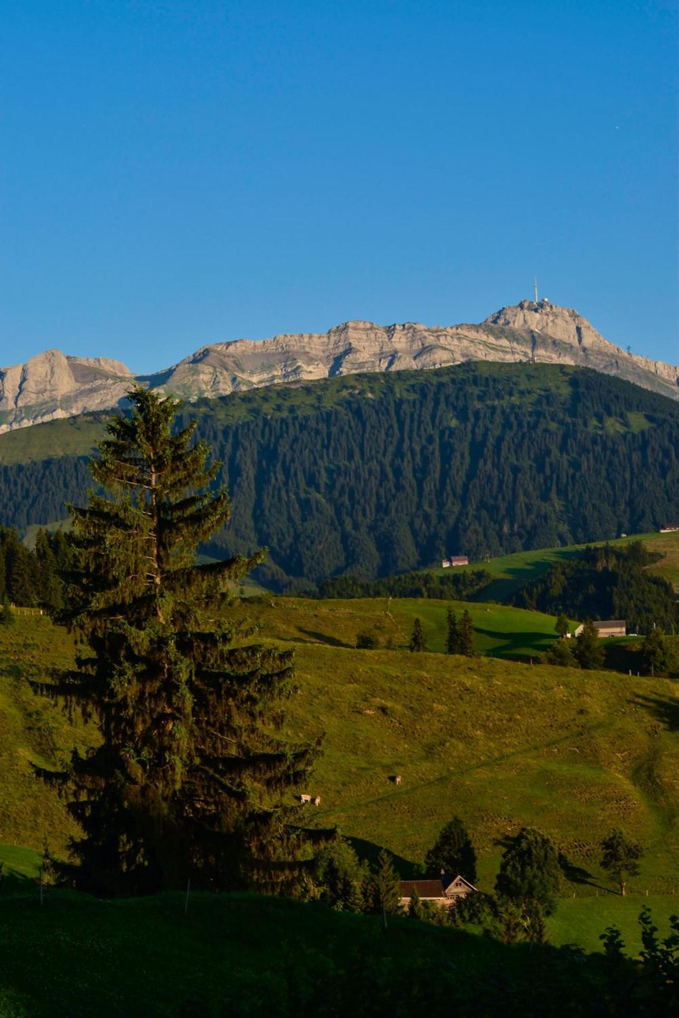 Ferienwohnung In Buehler Naehe Appenzell Buhler Ngoại thất bức ảnh